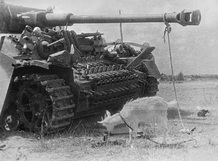 5.01 Коза привязанная к пушке подбитого немецкого танка Pz.Kpfw. IV под Минском