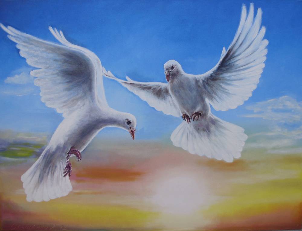 Белыми голубями летите к маме домой. Голубь картина. Голуби в живописи. Пейзаж с голубями. Голубь картинка.