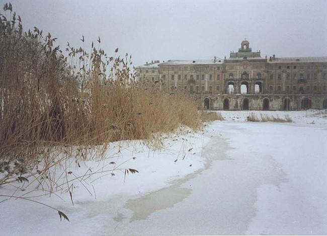 Константиновский дворец до реставрации фото
