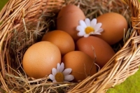 Трудности счёта яиц
