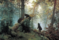 Утро в сосновом лесу. Кто нарисовал медведей?
