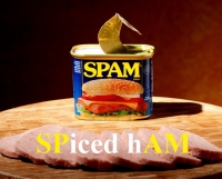 Чем spam отличается от SPAMа?